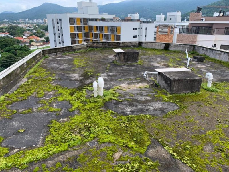 Laje de cobertura com infiltração, musgo e limo antes do serviço de impermeabilização predial em Florianópolis - SC